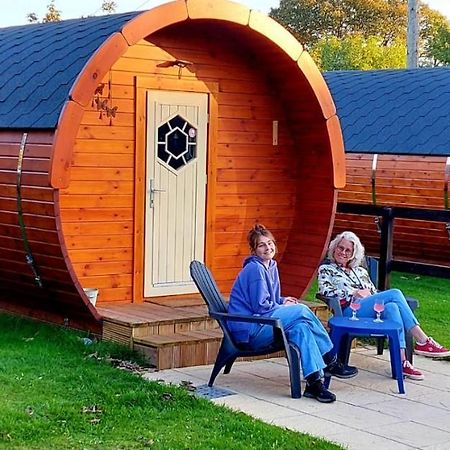 فندق Glamping At Treegrove كيلكيني المظهر الخارجي الصورة