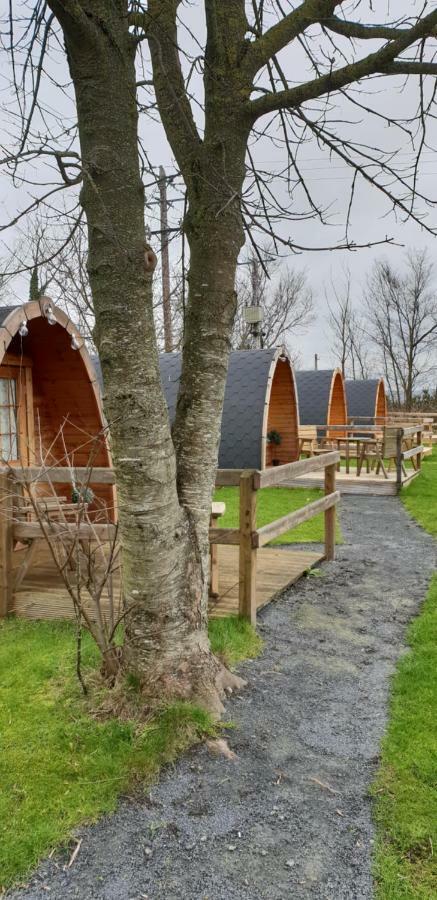 فندق Glamping At Treegrove كيلكيني المظهر الخارجي الصورة